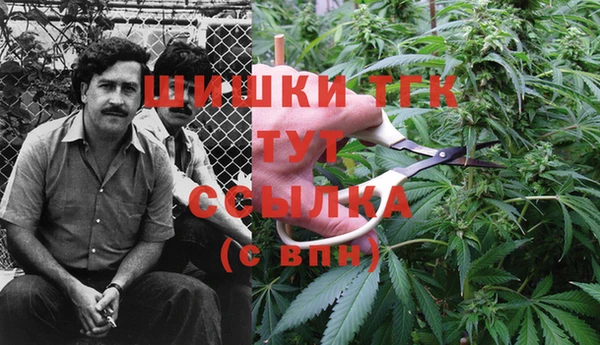прущие крисы Абаза