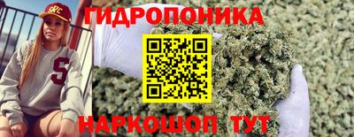 гашишное масло Моздок