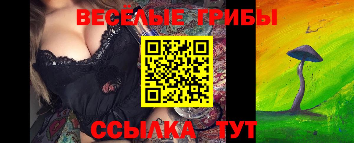 Псилоцибиновые грибы Cubensis  Вход с VPN  Воронеж 